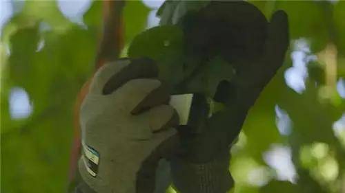 僅有這一些抓人眼球的室外標(biāo)識(shí)才配叫創(chuàng)意！廣告主也滿意10