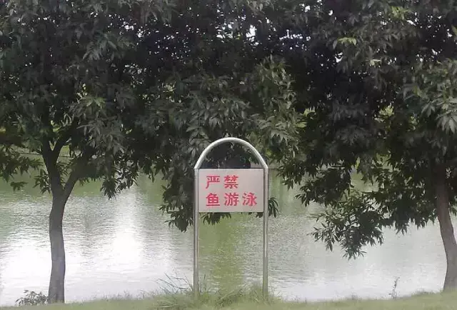 這一些沙雕標(biāo)牌標(biāo)識(shí)標(biāo)語(yǔ)，讓我站路邊笑了半天停不下來(lái)23